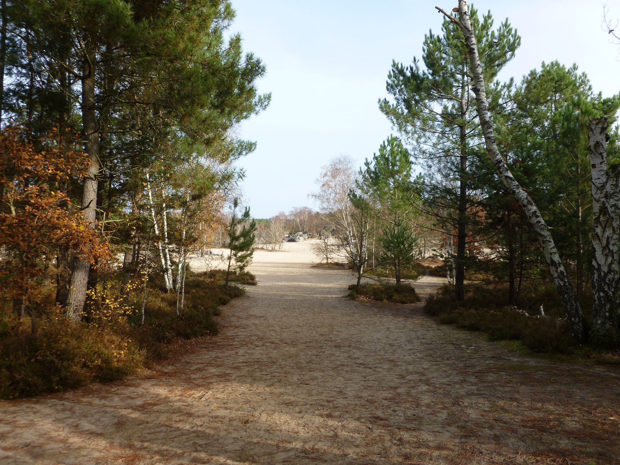 Randonnée courte, Fontainebleau