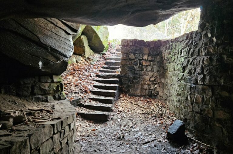 Sortie du 1 décembre